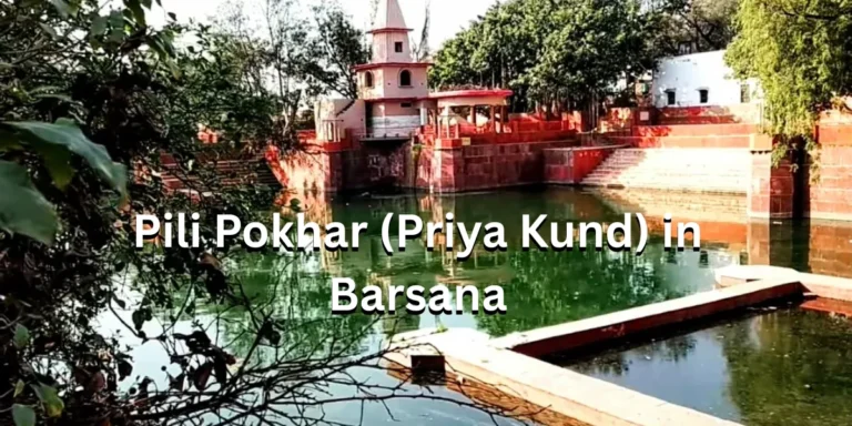 Pili Pokhar (Priya Kund) in Barsana