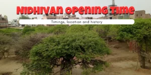 Nidhivan Opening Time: What Time Should You Visit in 2025?