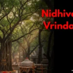 Nidhivan In Vrindavan