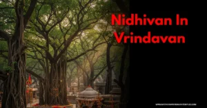 Nidhivan In Vrindavan