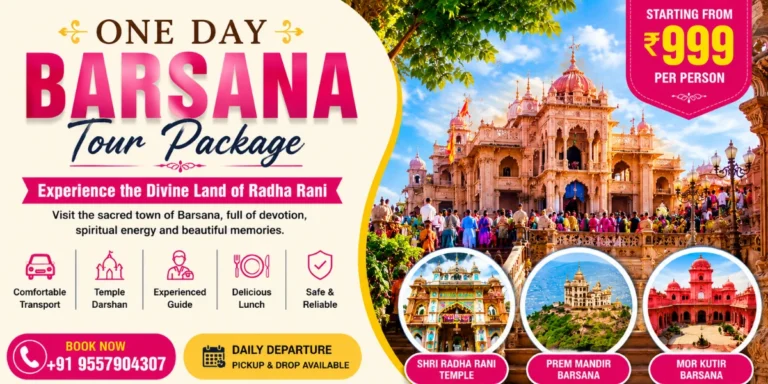 one day barsana tour package